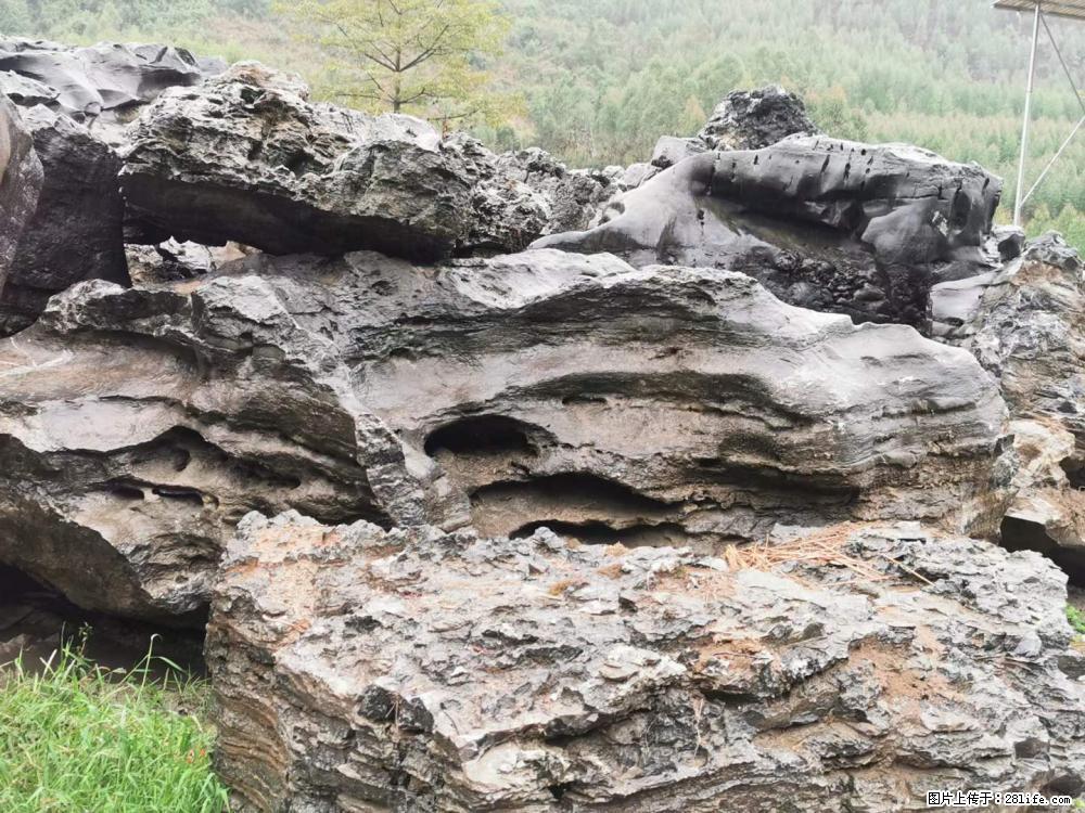 风景石、假山石大量有货，有需要的欢迎联系 - 新手上路 - 淮南生活社区 - 淮南28生活网 hn.28life.net
