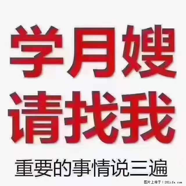 为什么要学习月嫂，育婴师？ - 其他广告 - 广告专区 - 淮南分类信息 - 淮南28生活网 hn.28life.net