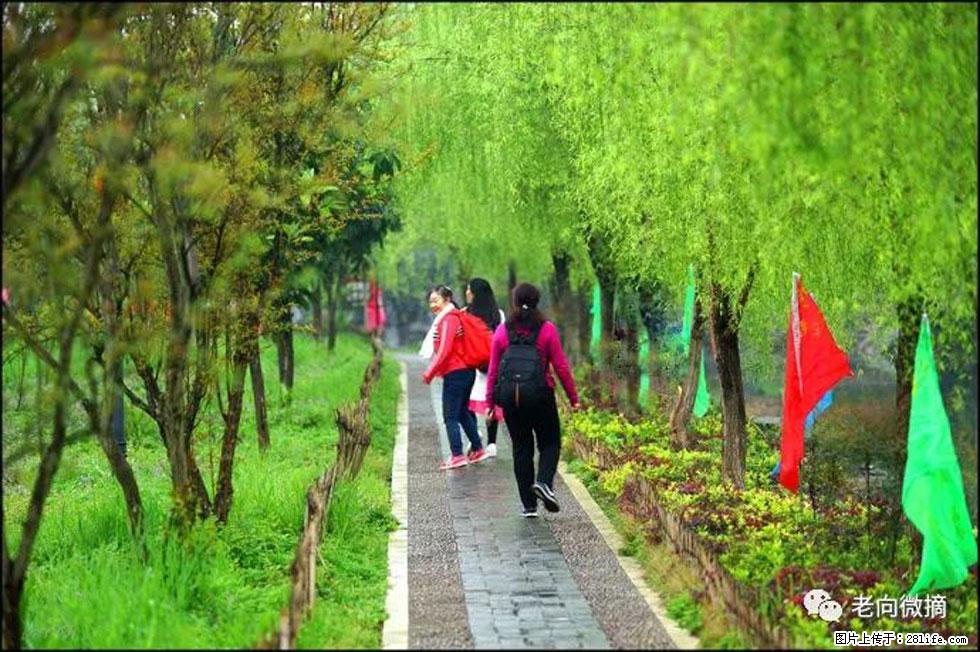 【春天，广西桂林灌阳县向您发出邀请！】江口老街又逢春 - 游山玩水 - 淮南生活社区 - 淮南28生活网 hn.28life.net