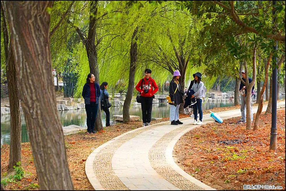 【春天，广西桂林灌阳县向您发出邀请！】江口老街又逢春 - 游山玩水 - 淮南生活社区 - 淮南28生活网 hn.28life.net