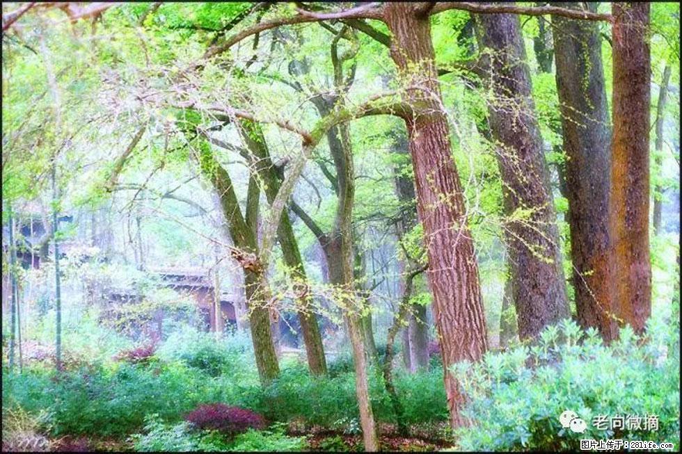 【春天，广西桂林灌阳县向您发出邀请！】在小龙村与春天约会 - 游山玩水 - 淮南生活社区 - 淮南28生活网 hn.28life.net