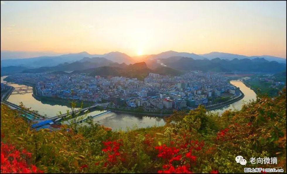 【春天，广西桂林灌阳县向您发出邀请！】登麒麟山，相约映山红 - 游山玩水 - 淮南生活社区 - 淮南28生活网 hn.28life.net