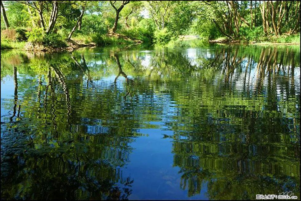 【春天，广西桂林灌阳县向您发出邀请！】熊家寨湿地公园 - 游山玩水 - 淮南生活社区 - 淮南28生活网 hn.28life.net