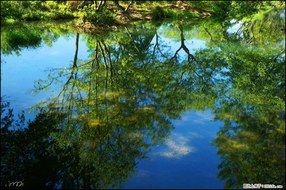 【春天，广西桂林灌阳县向您发出邀请！】熊家寨湿地公园 - 游山玩水 - 淮南生活社区 - 淮南28生活网 hn.28life.net