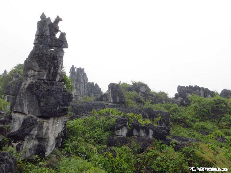 桂林旅游名城景点：灌阳文市石林 - 游山玩水 - 淮南生活社区 - 淮南28生活网 hn.28life.net