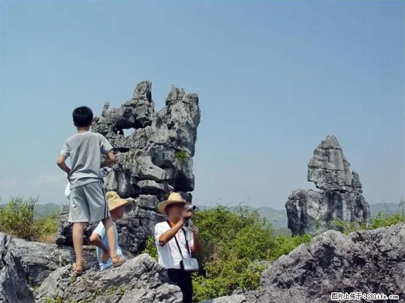 桂林旅游名城景点：灌阳文市石林 - 游山玩水 - 淮南生活社区 - 淮南28生活网 hn.28life.net