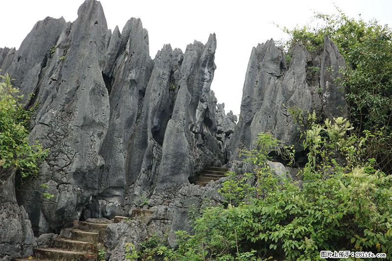 桂林旅游名城景点：灌阳文市石林 - 游山玩水 - 淮南生活社区 - 淮南28生活网 hn.28life.net