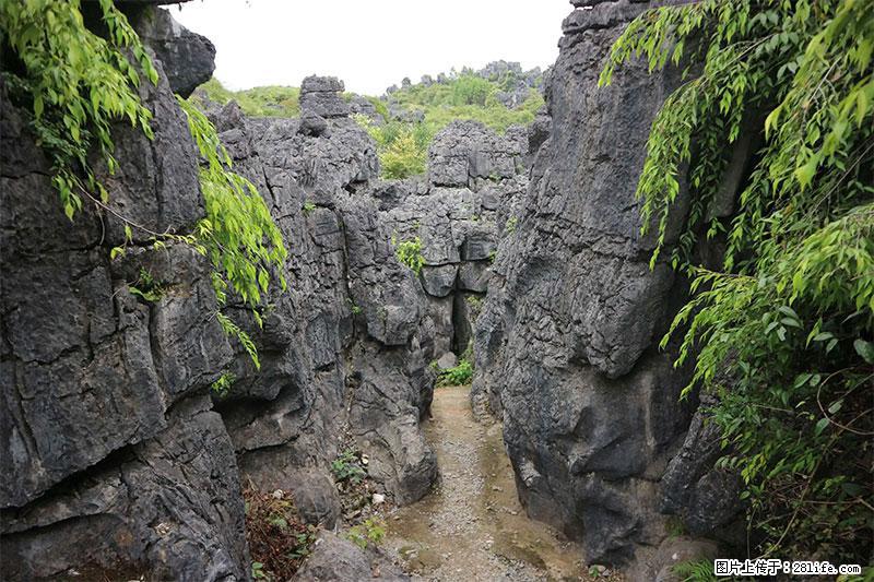 桂林旅游名城景点：灌阳文市石林 - 游山玩水 - 淮南生活社区 - 淮南28生活网 hn.28life.net