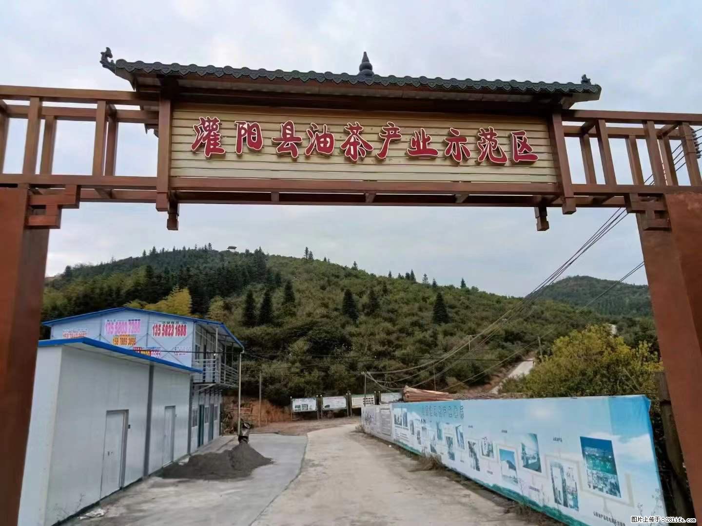 【灌阳县油茶产业示范区】一个有着充实的精神生活的人，对待身外之物自会有一种淡泊的态度 - 土特产 - 饮食特产 - 淮南分类信息 - 淮南28生活网 hn.28life.net