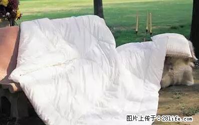 被子有异味？只要这样做，比晒太阳还强100倍！ - 家居生活 - 淮南生活社区 - 淮南28生活网 hn.28life.net