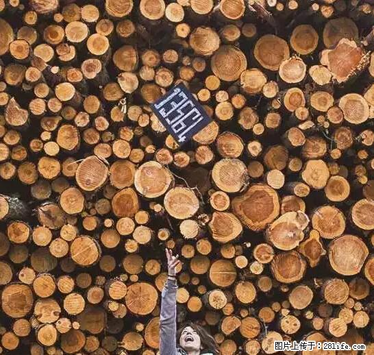 辞掉工作周游世界？现在他们在洗厕所…… - 游山玩水 - 淮南生活社区 - 淮南28生活网 hn.28life.net