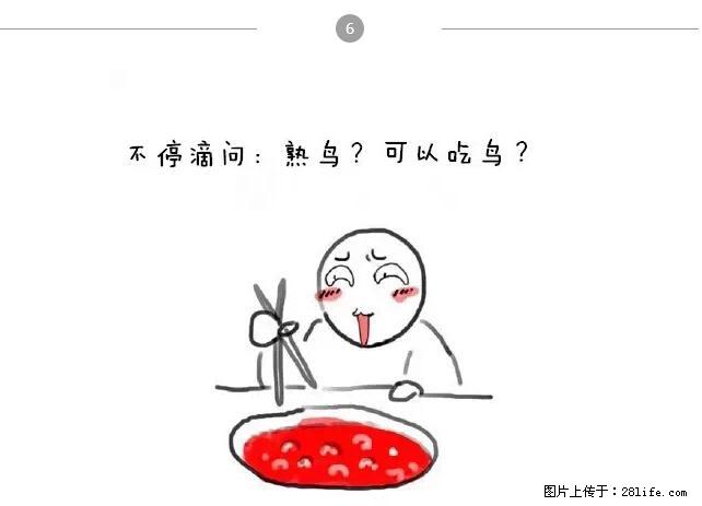 千万不要和这9种哈卵一起吃火锅！ - 美食天地 - 淮南生活社区 - 淮南28生活网 hn.28life.net