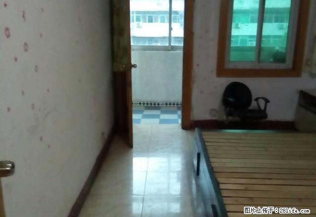 金凤小区烟草局对面，四楼房屋对外 出租，房内精装修 - 房屋出租 - 房屋租售 - 淮南分类信息 - 淮南28生活网 hn.28life.net