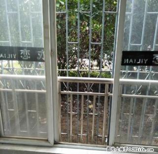 惠利中都华府二期 3室1厅130平米 精装修 一楼出租 - 淮南28生活网 hn.28life.net