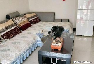 淮河嘉苑 2室2厅1卫 拎包入住 - 淮南28生活网 hn.28life.net