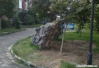 皇冠花园 全新 出租 - 淮南28生活网 hn.28life.net