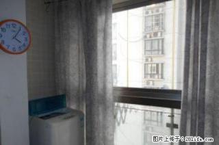 精装公寓，拎包就住，交通方便 - 淮南28生活网 hn.28life.net