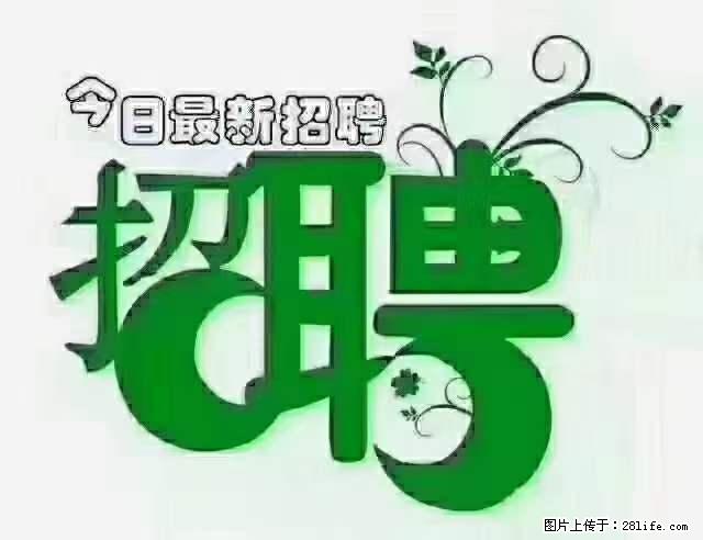 上海隔离酒店招人：55岁以下 男女不限 - 职场交流 - 淮南生活社区 - 淮南28生活网 hn.28life.net