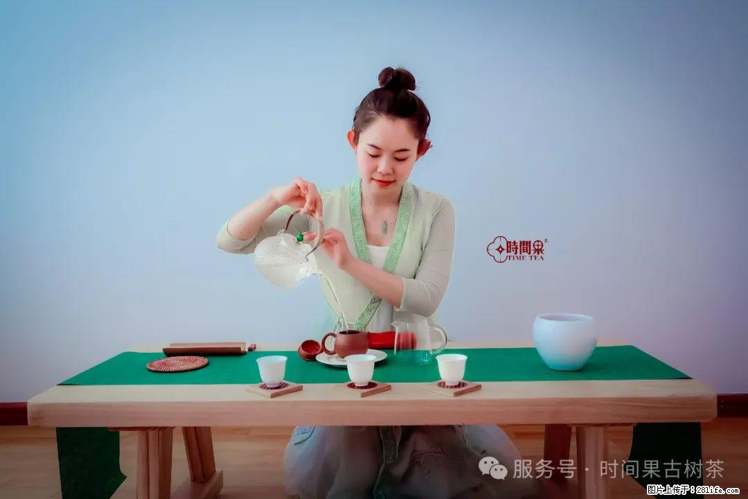 时间果百年古树龙珠普洱生茶 - 购物交流 - 淮南生活社区 - 淮南28生活网 hn.28life.net