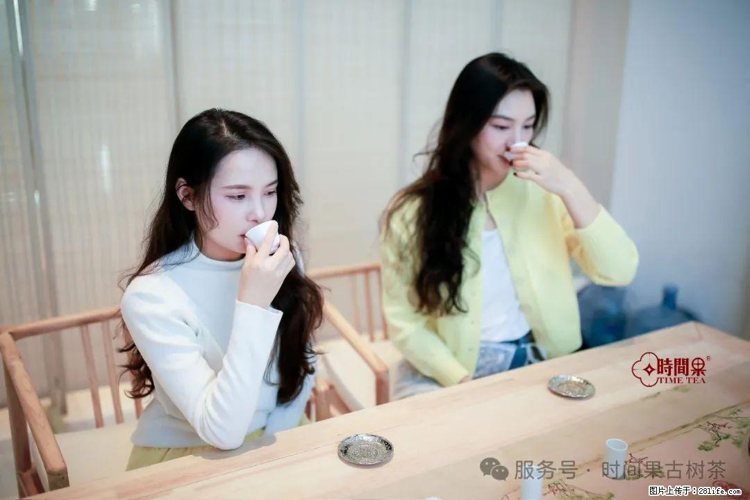 时间果百年古树龙珠普洱生茶 - 购物交流 - 淮南生活社区 - 淮南28生活网 hn.28life.net