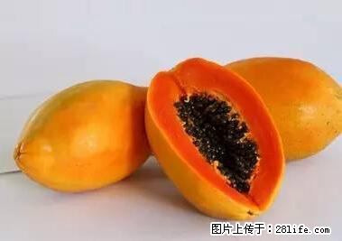 晕车、脚气、牙齿变黄、皮肤粗糙？学会这些三分钟搞定！ - 淮南生活资讯 - 淮南28生活网 hn.28life.net