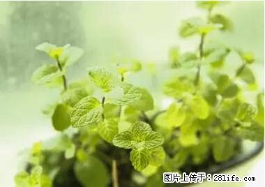 晕车、脚气、牙齿变黄、皮肤粗糙？学会这些三分钟搞定！ - 淮南生活资讯 - 淮南28生活网 hn.28life.net
