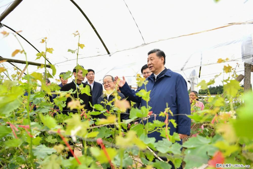 习近平赴广西考察调研 - 淮南生活资讯 - 淮南28生活网 hn.28life.net