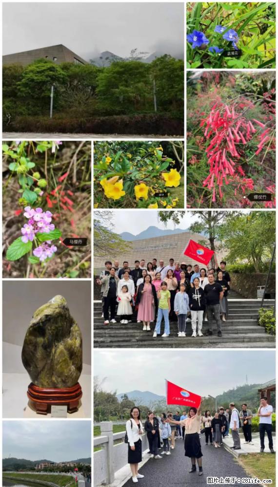“粤灌文化 美好生活”油茶文化主题活动在广东深圳成功举办 - 淮南生活资讯 - 淮南28生活网 hn.28life.net
