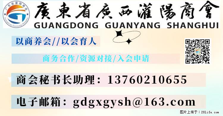 “粤灌文化 美好生活”油茶文化主题活动在广东深圳成功举办 - 淮南生活资讯 - 淮南28生活网 hn.28life.net