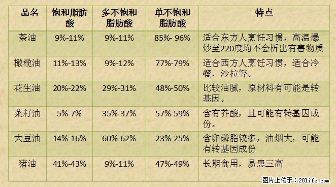 揭秘茶油的5大核心营养成分！被称为人体健康的“守护盾”！ - 淮南生活资讯 - 淮南28生活网 hn.28life.net