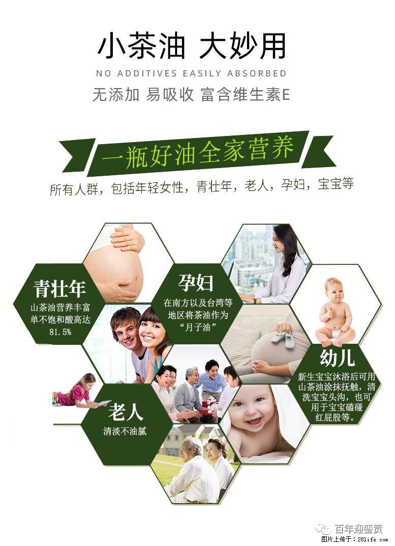 世界没有真相，只有认知，最好的食用油是中国的山茶油！ - 淮南生活资讯 - 淮南28生活网 hn.28life.net