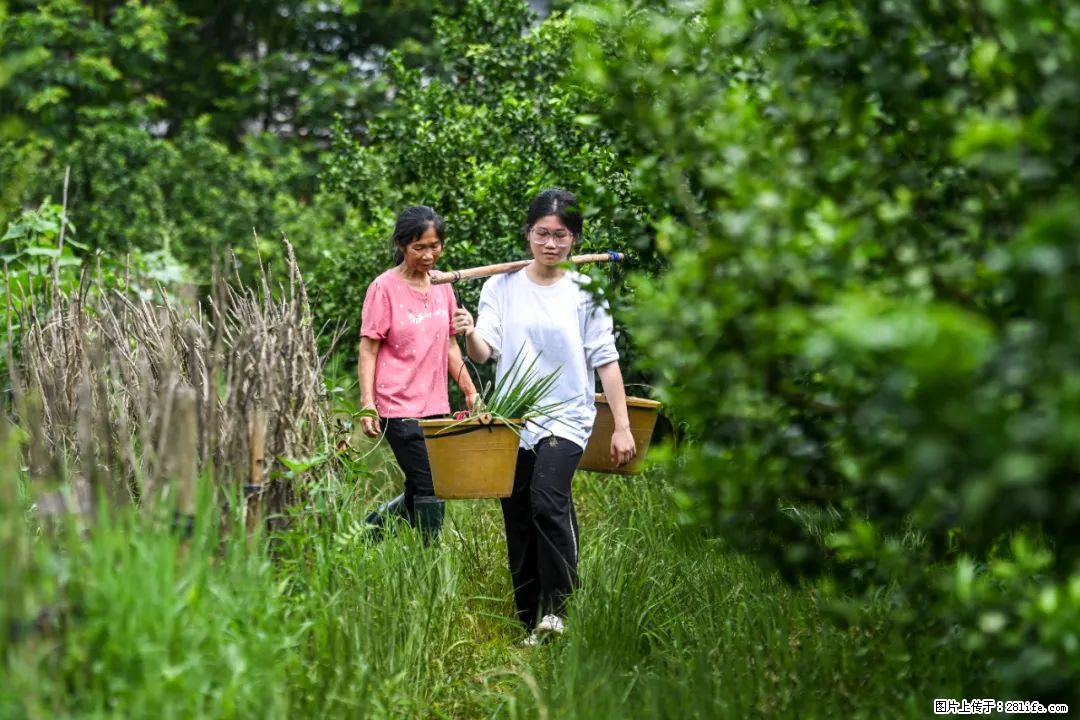 全网追的“扁担女孩”，找了一份暑假工，时薪12元 - 淮南生活资讯 - 淮南28生活网 hn.28life.net