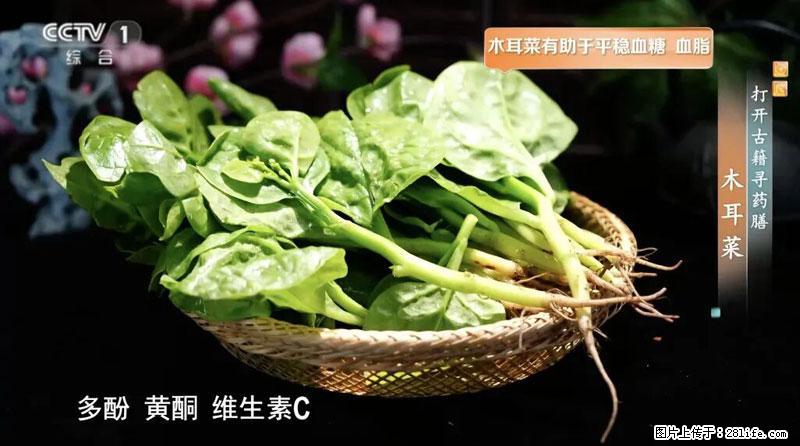 比牛奶补钙还厉害！凉血解毒、稳血糖...这菜冬天必吃，很多人却当草 - 淮南生活资讯 - 淮南28生活网 hn.28life.net